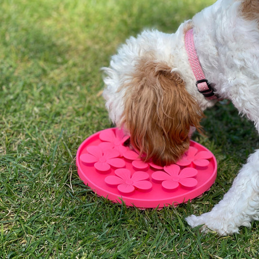 Pet Snuffle Mat (Pink)