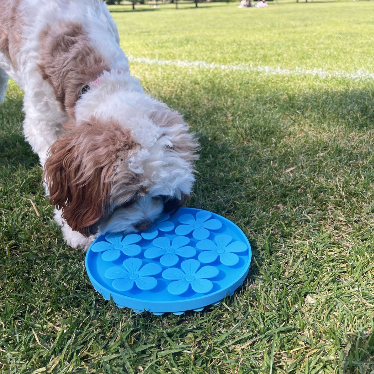 Pet Snuffle Mat (Blue)